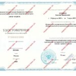dudikov3